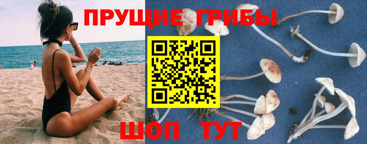 Галлюциногенные грибы GOLDEN TEACHER  Вход с VPN  Сибай 